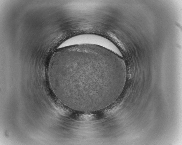 X0000095540213200712281551