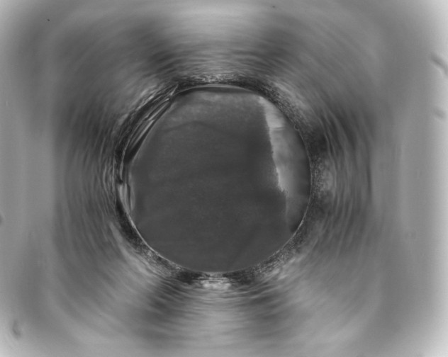 X0000095540214200712281551