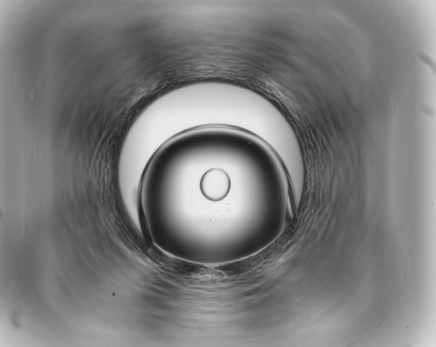 X0000095540215200712281551