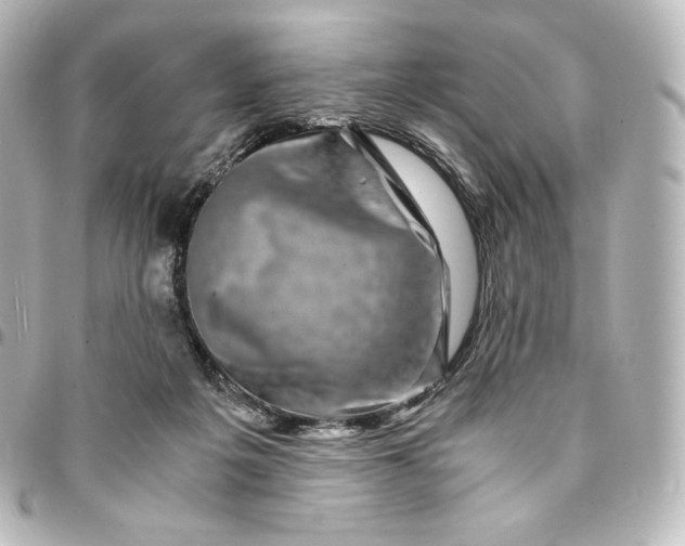 X0000095540217200712281551