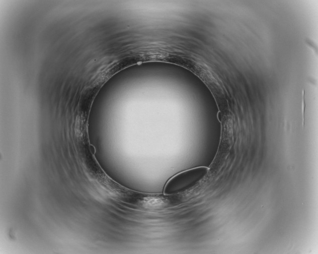 X0000095540218200712281551