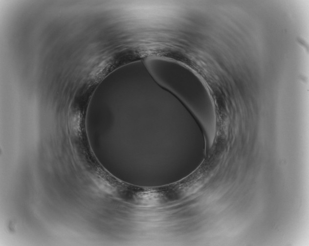 X0000095540219200712281551