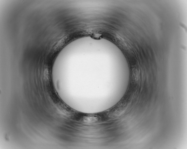 X0000095540220200712281551