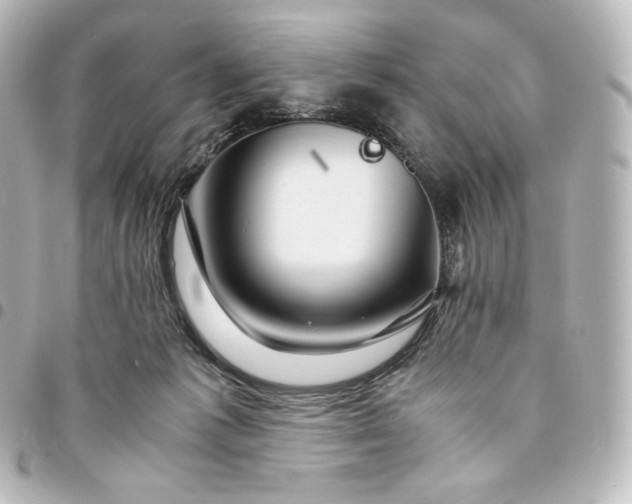 X0000095540221200712281551