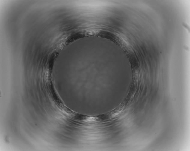 X0000095540222200712281551