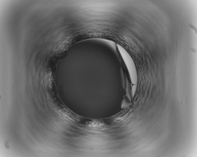 X0000095540223200712281551