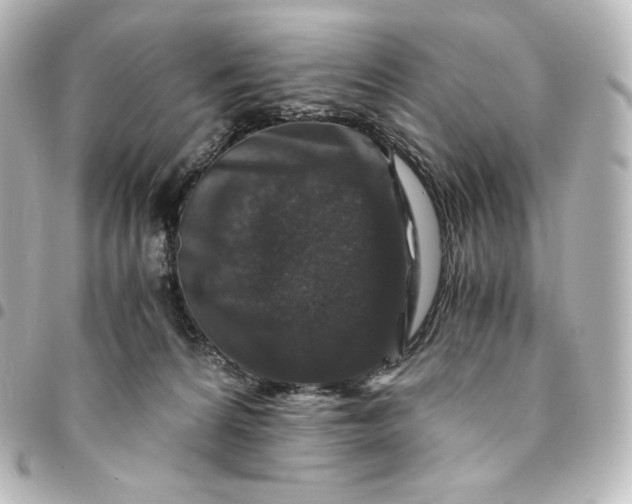 X0000095540224200712281551