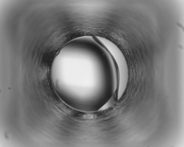 X0000095540225200712281551