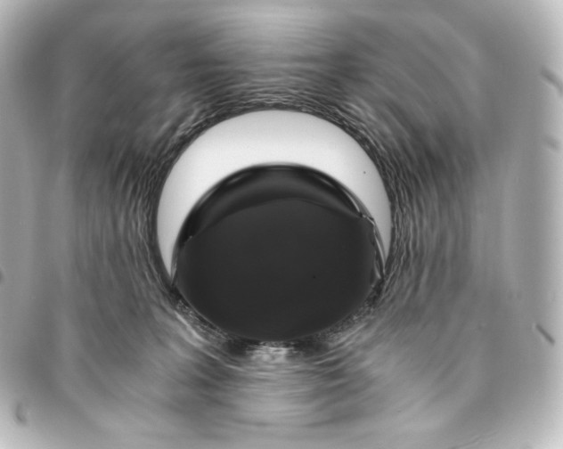 X0000095540227200712281551