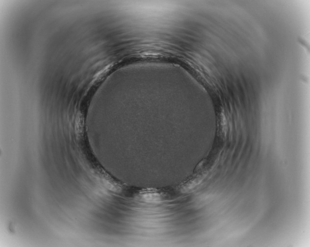 X0000095540228200712281551