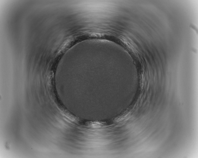 X0000095540229200712281551