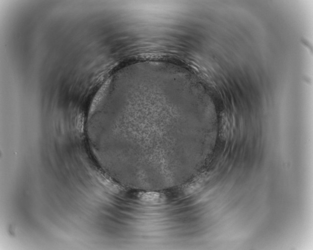 X0000095540230200712281551