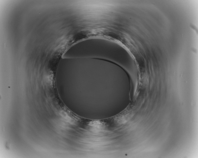 X0000095540231200712281551