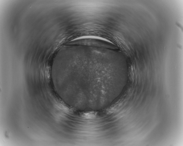 X0000095540232200712281551