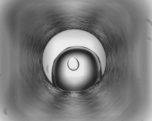 X0000095540233200712281551