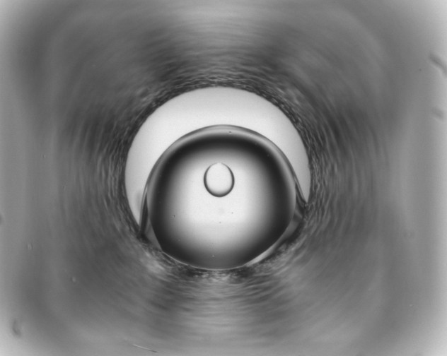 X0000095540235200712281551