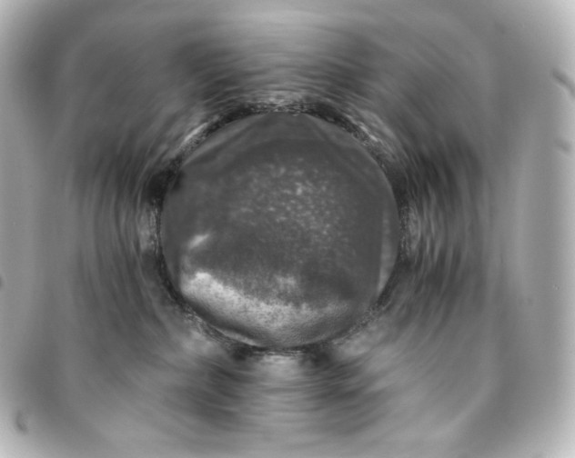 X0000095540236200712281551