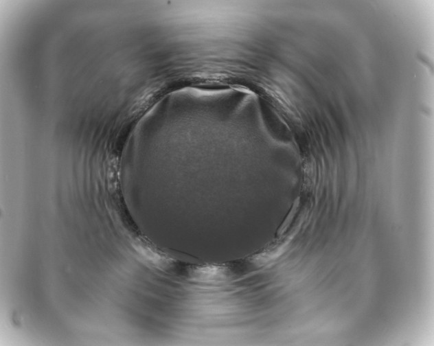 X0000095540237200712281551