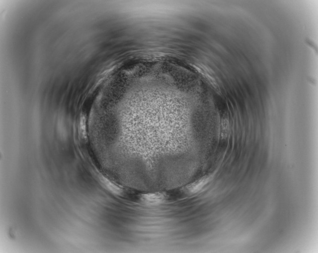 X0000095540238200712281551