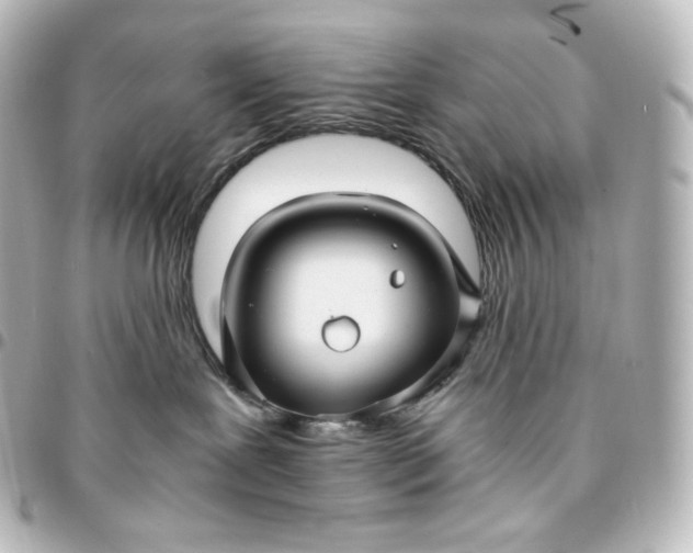 X0000095540239200712281551