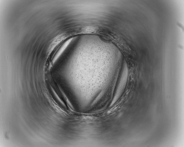 X0000095540242200712281550