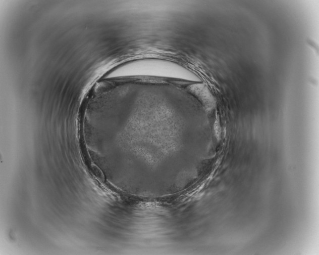 X0000095540244200712281550