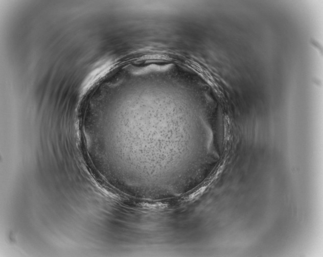 X0000095540245200712281550