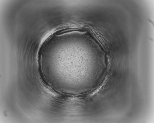 X0000095540246200712281550