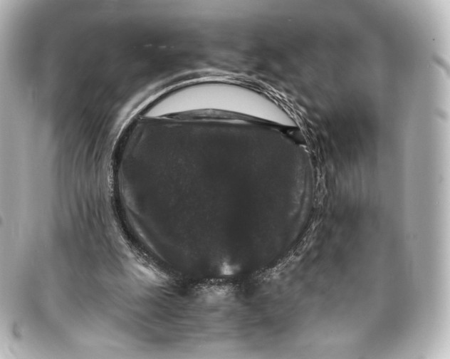 X0000095540247200712281550