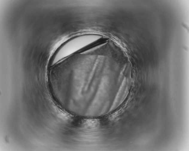 X0000095540248200712281550