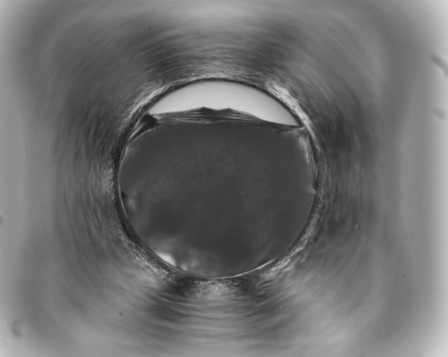 X0000095540249200712281551