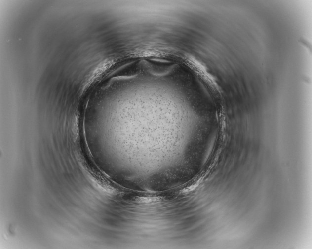 X0000095540250200712281551