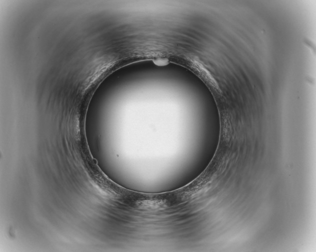 X0000095540251200712281551