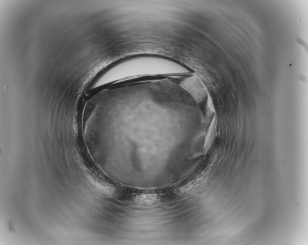 X0000095540252200712281551