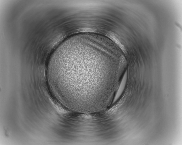 X0000095540253200712281551