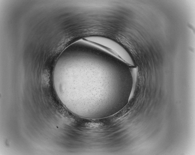 X0000095540255200712281551