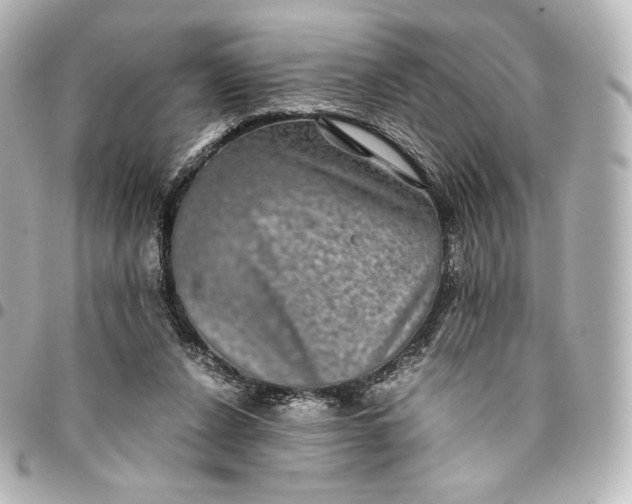 X0000095540256200712281551