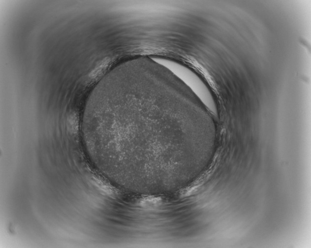 X0000095540257200712281551