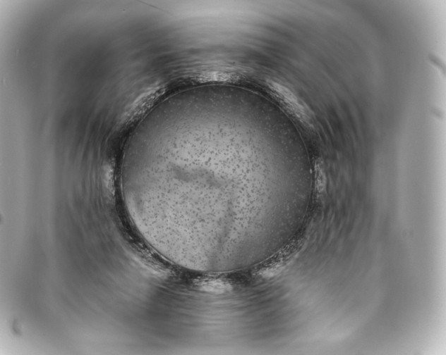 X0000095540258200712281551