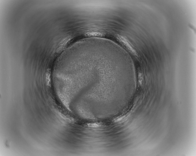 X0000095540259200712281551