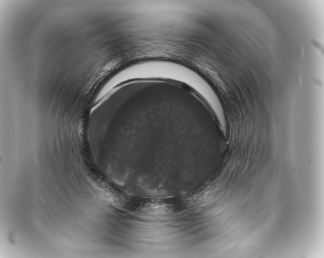 X0000095540260200712281551