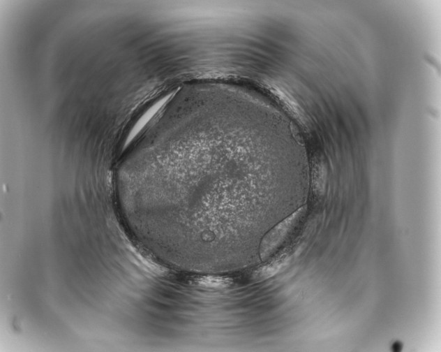 X0000095540261200712281551