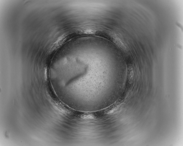 X0000095540262200712281551