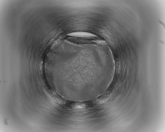 X0000095540263200712281551