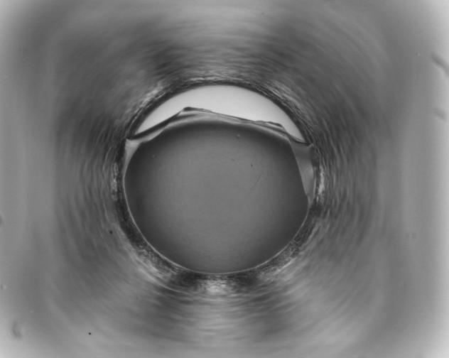 X0000095540264200712281551