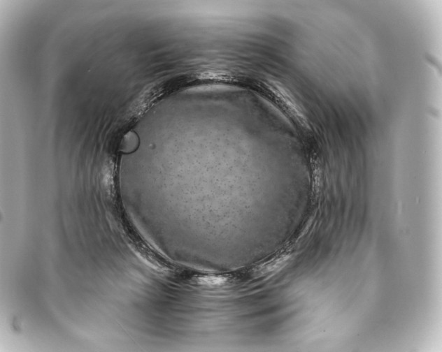 X0000095540265200712281551