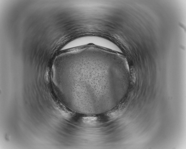 X0000095540266200712281551