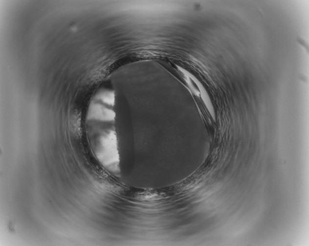 X0000095540267200712281551