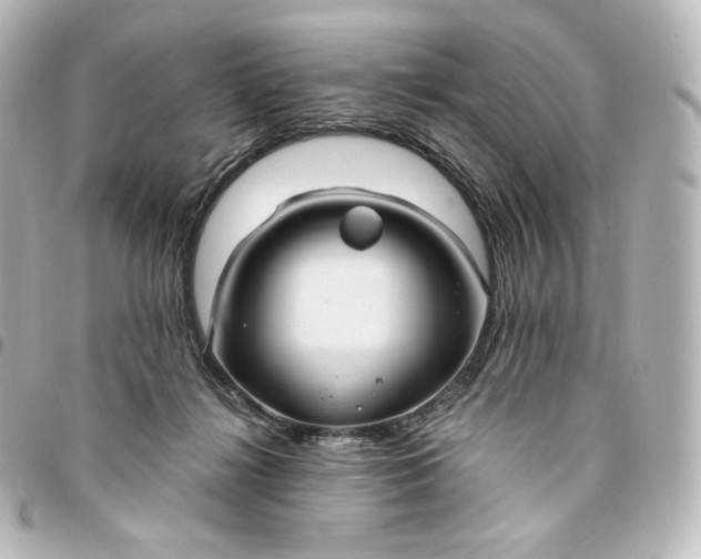 X0000095540268200712281551