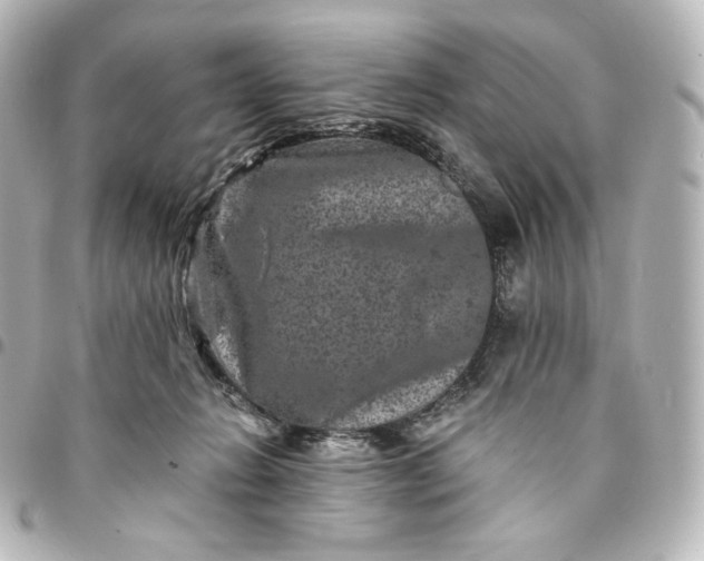 X0000095540270200712281551